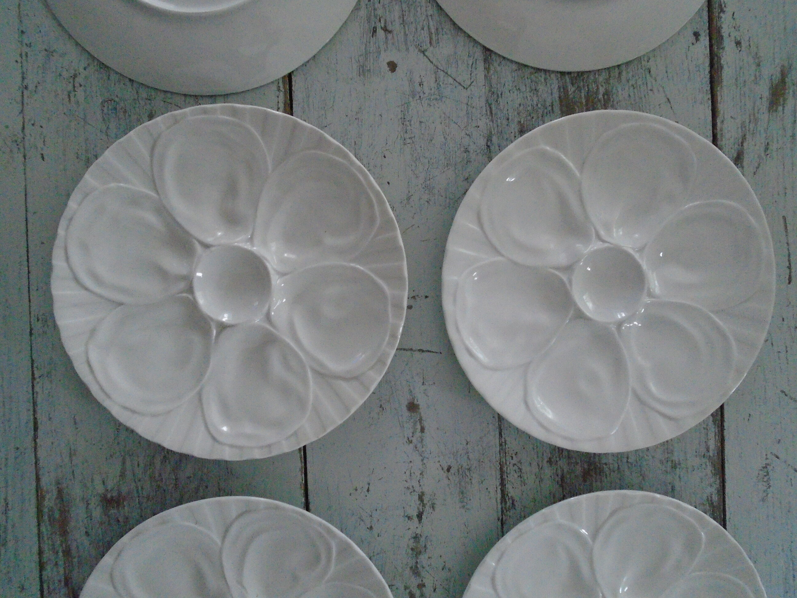 6 plates with white presentation oysters Pillivuyt France
