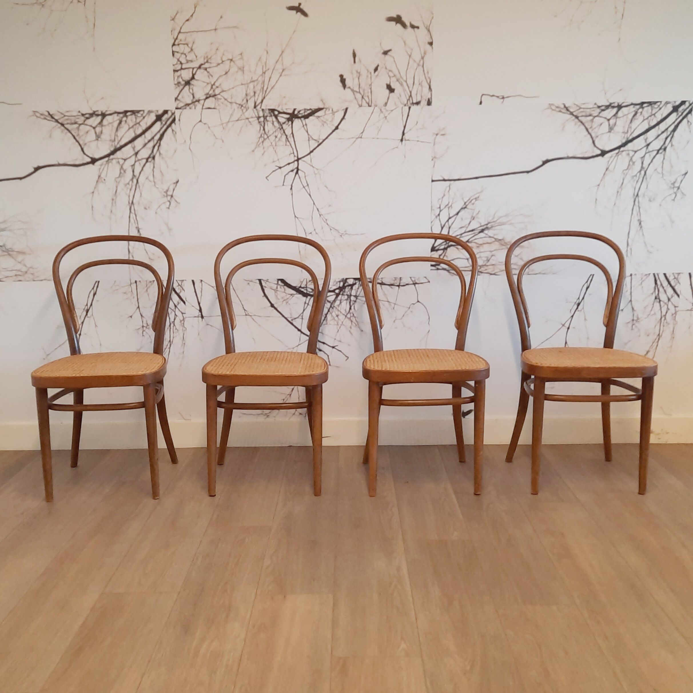 Set of 4 No. 214 R chairs by Michael Thonet for Thonet, 1970s
