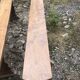 Pair of benches