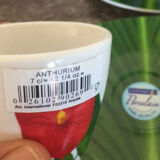 Anthurium coffee service