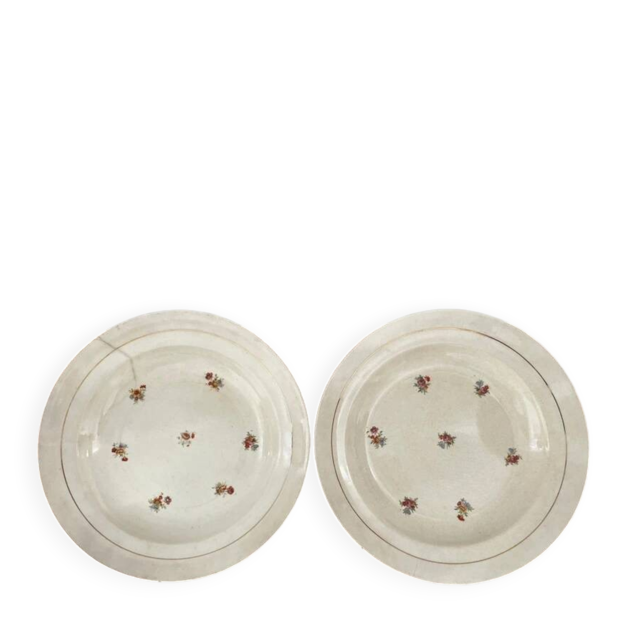 Set of 2 floral porcelain soup plates