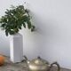 English silver-plated teapot
