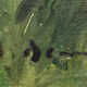Tableau HST "Paysage aux roulottes" Gitans Tziganes signé