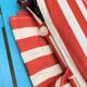 Vintage foldable nomadic deckchair