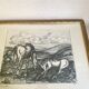 Horse engraving, 1950s, carved wooden frame with glass