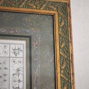 Antique engraving of Mars and Venus, framed under glass, large frame, decoration.