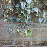 Florist in staircase jardniere