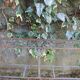 Jardnière de fleuriste en escalier