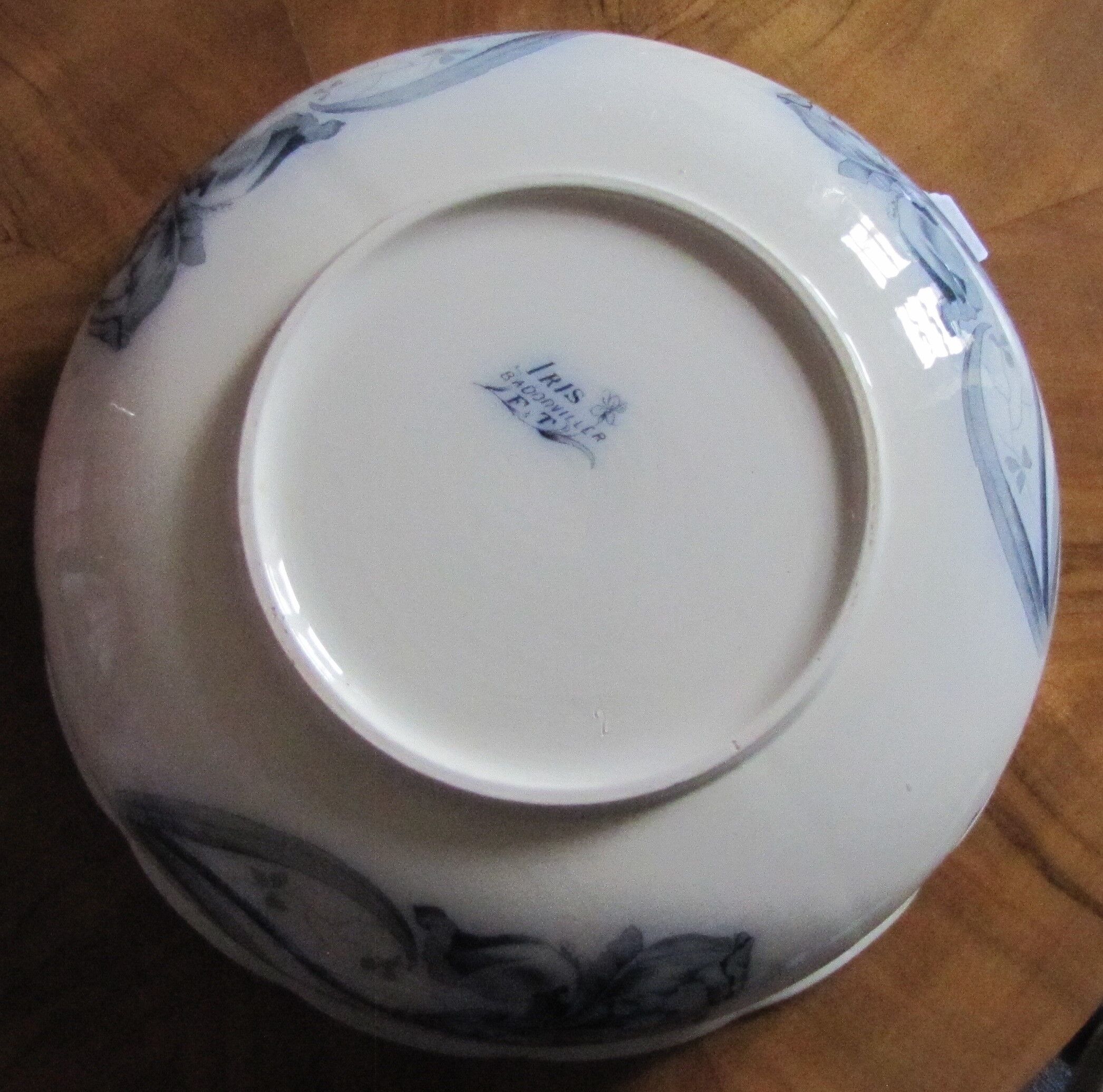 IRIS and dragonfly, beautiful!