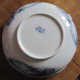 IRIS and dragonfly, beautiful!