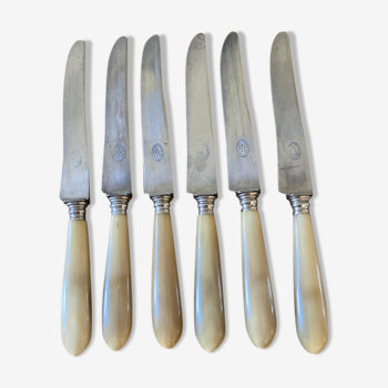 6 horn handle knives