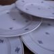 12 dessert plates, Floréal KG Lunéville model