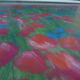 Original pastel field of poppies and blueberries, circa 1970