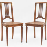 Pair of chairs canned from the 1900s period