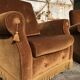 Pair of toad armchairs in old gold velvet