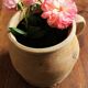 Pot terracotta a cove artisanal piece