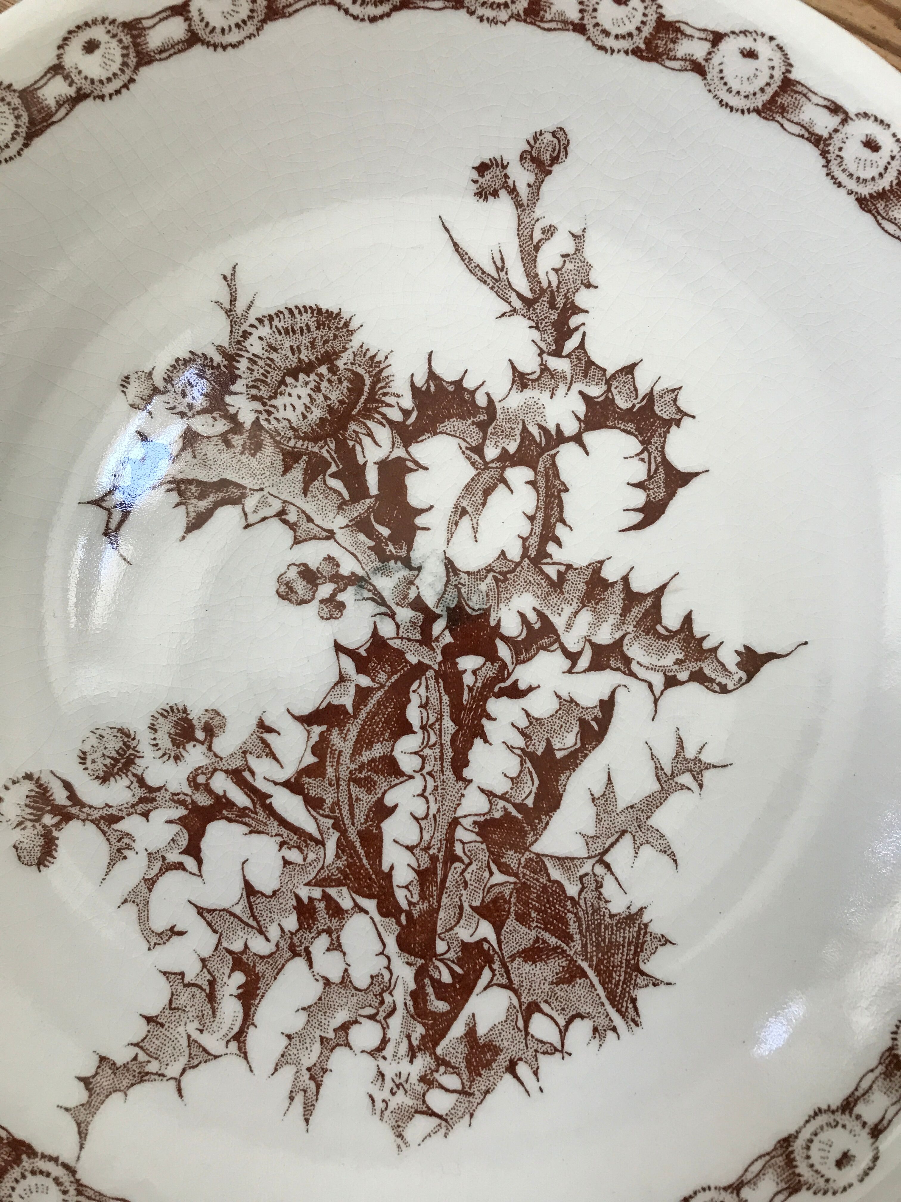 Series of 6 flat plates old model "Thistles" Gien