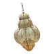 Murano Hallway Lantern