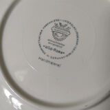 Wild Rose Villeroy & Boch soup dish and plate