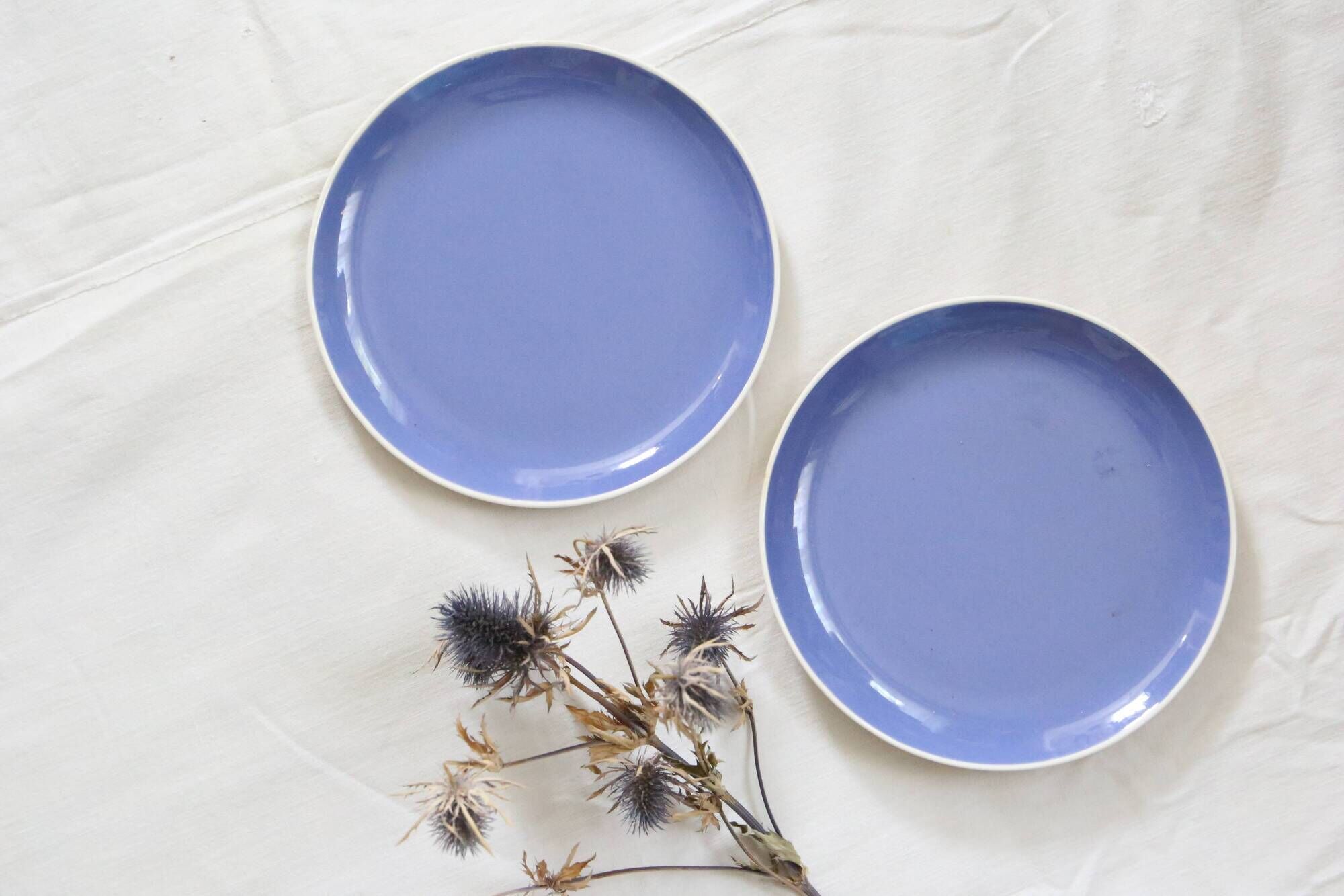 Duo of blue dessert plates, SAAR, Villeroy and Boch model, vintage