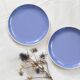 Duo of blue dessert plates, SAAR, Villeroy and Boch model, vintage