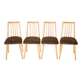 Chaises de salle à manger Antonin Suman des années 1960, lot de 4