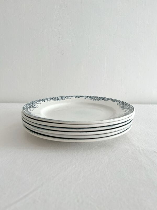 6 assiettes plates anciennes terre de fer « Lucy » Saint Amand