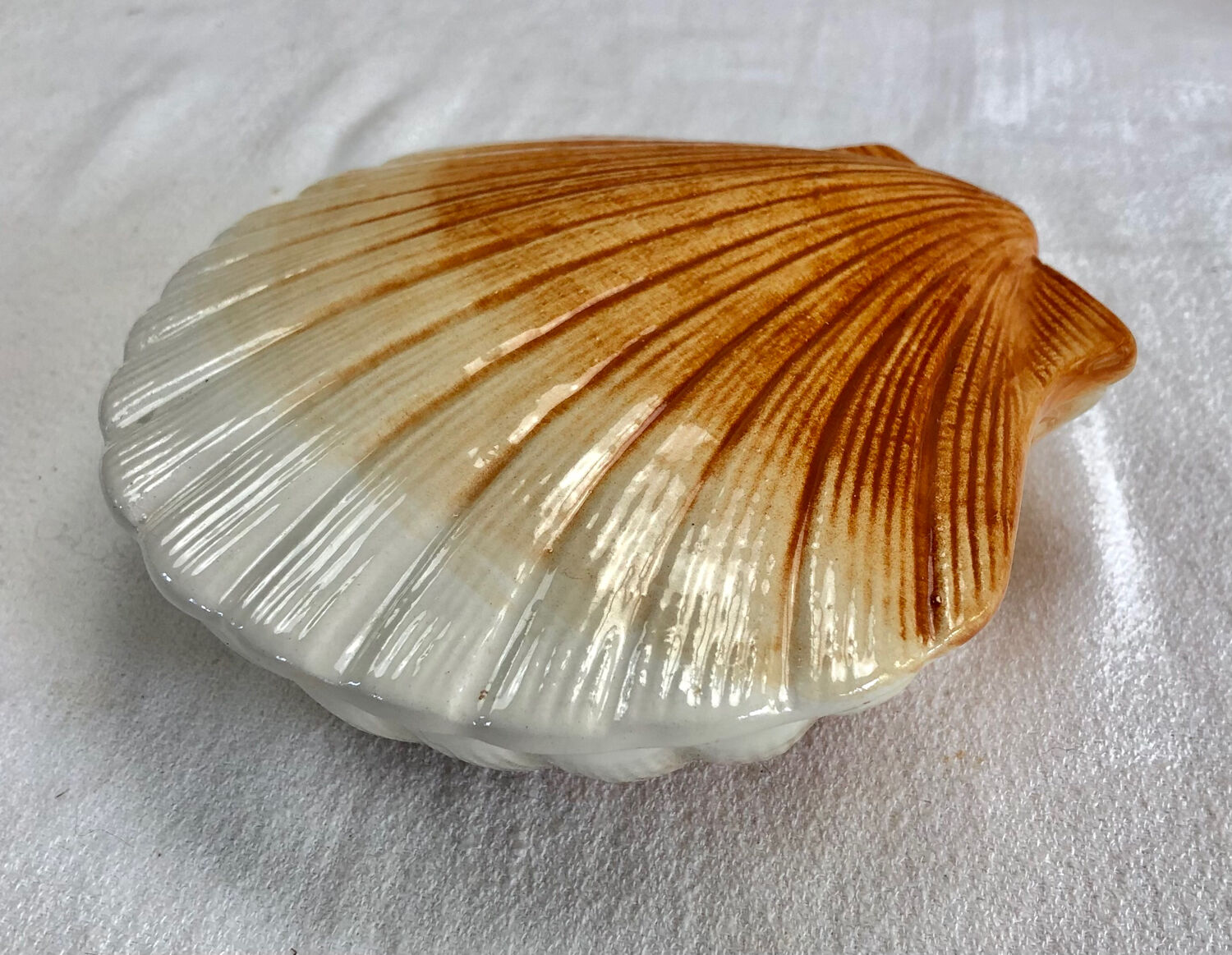 Terrine Caugant slurry scallops