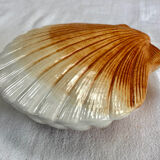 Terrine Caugant slurry scallops