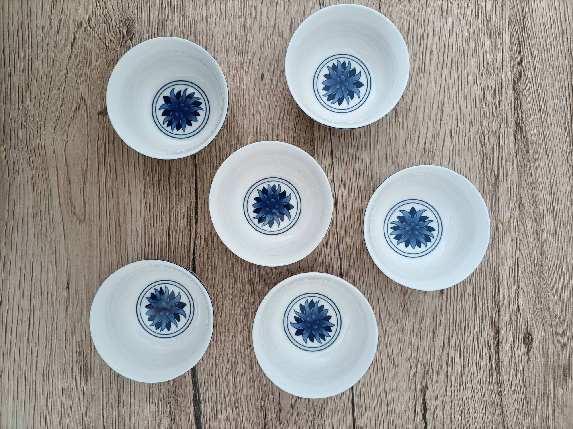 Gaiwan traditional chinese tea set in blue and white porcelain