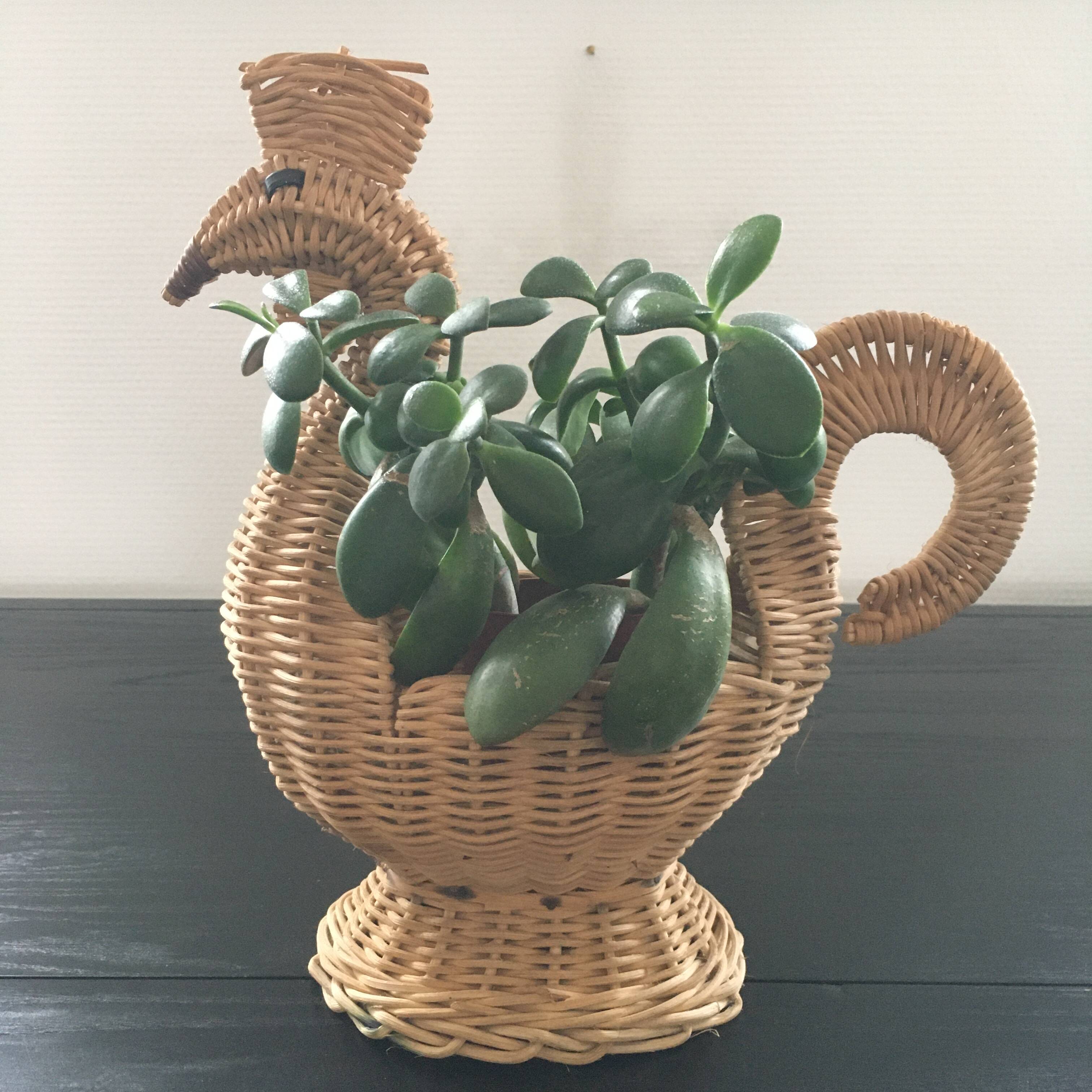 Rattan basket depicting a hen