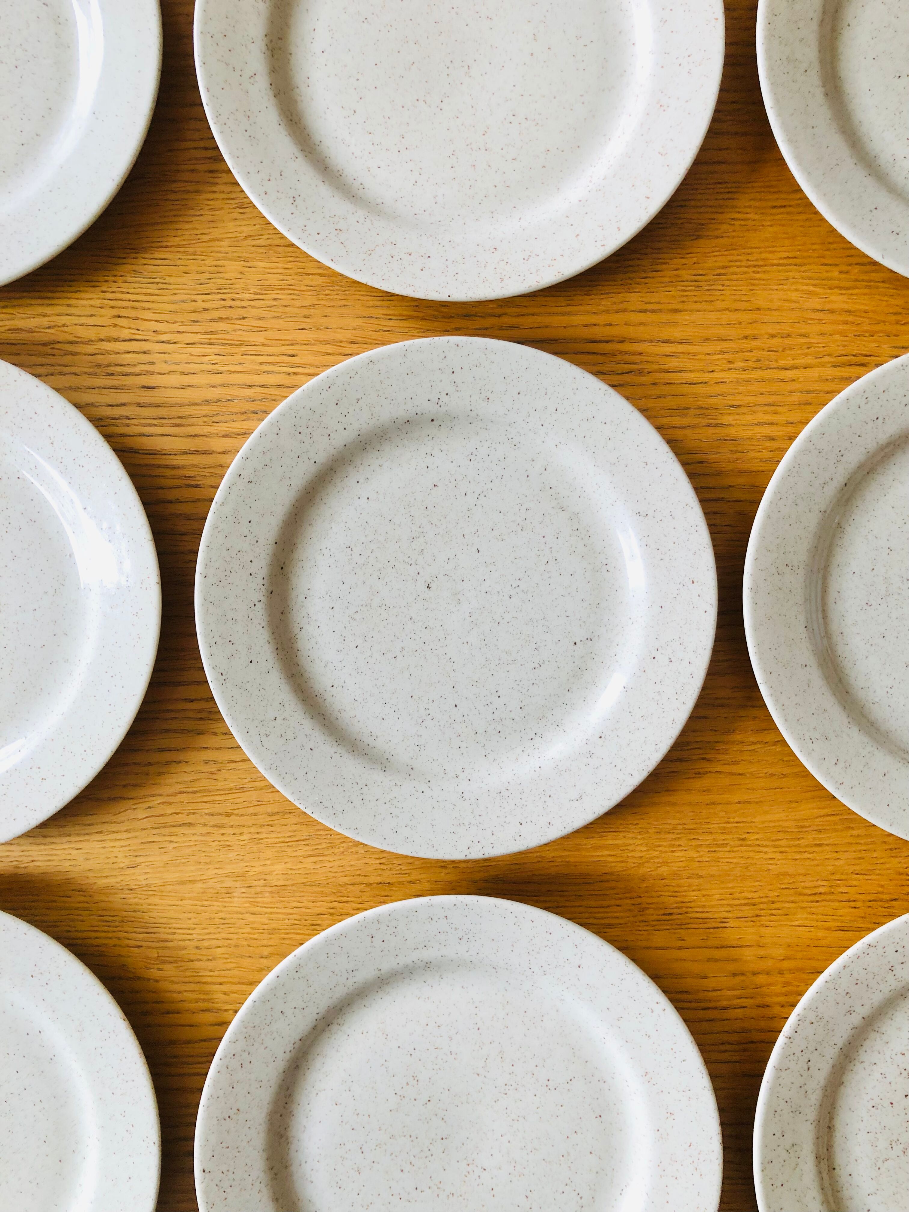 12 Flat plates in vintage speckled stoneware