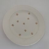 12 old Salins flat plates
