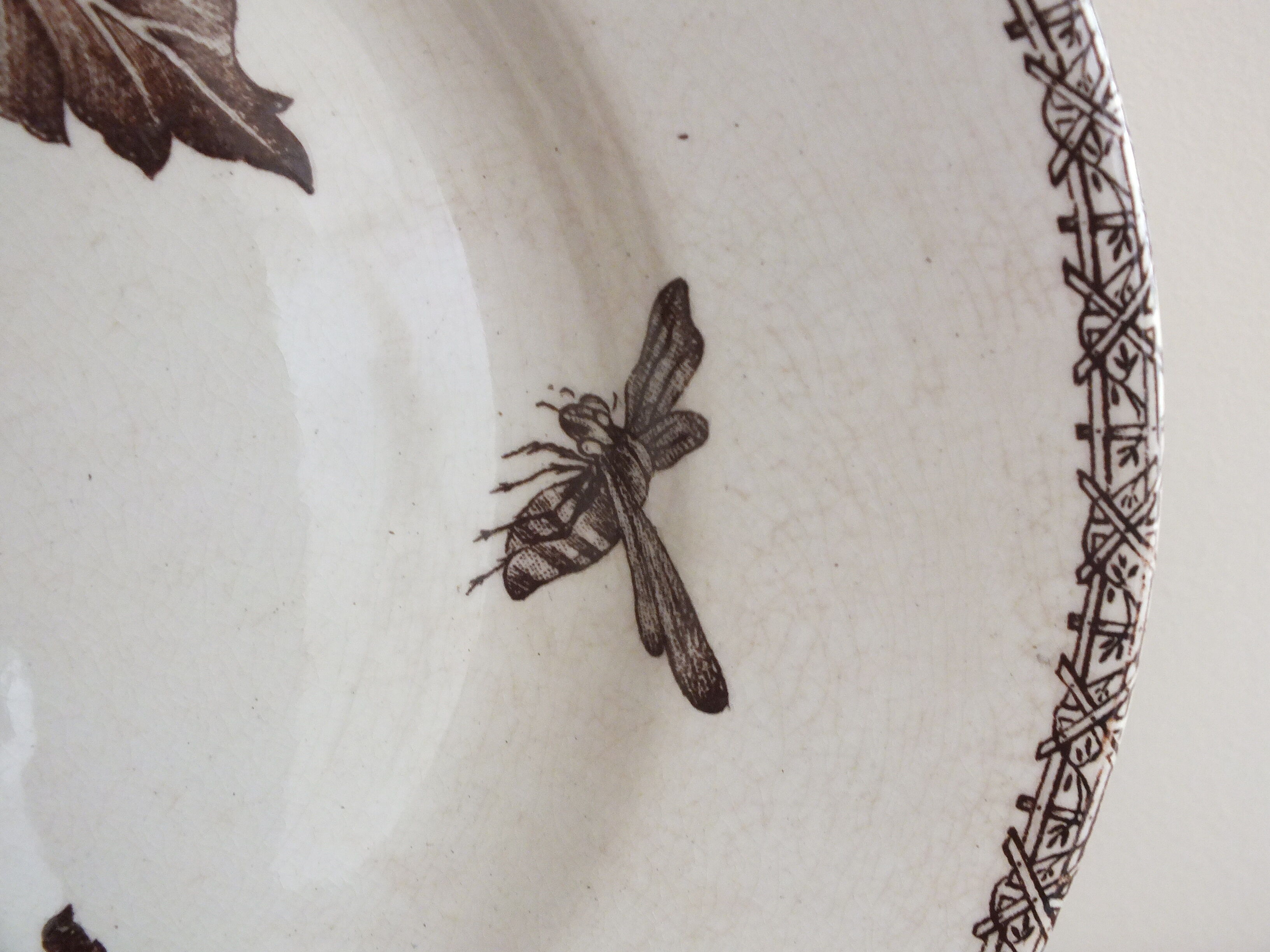 Round dish n°3 Choisy le Roi en Terre de Fer decoration fruits and insects