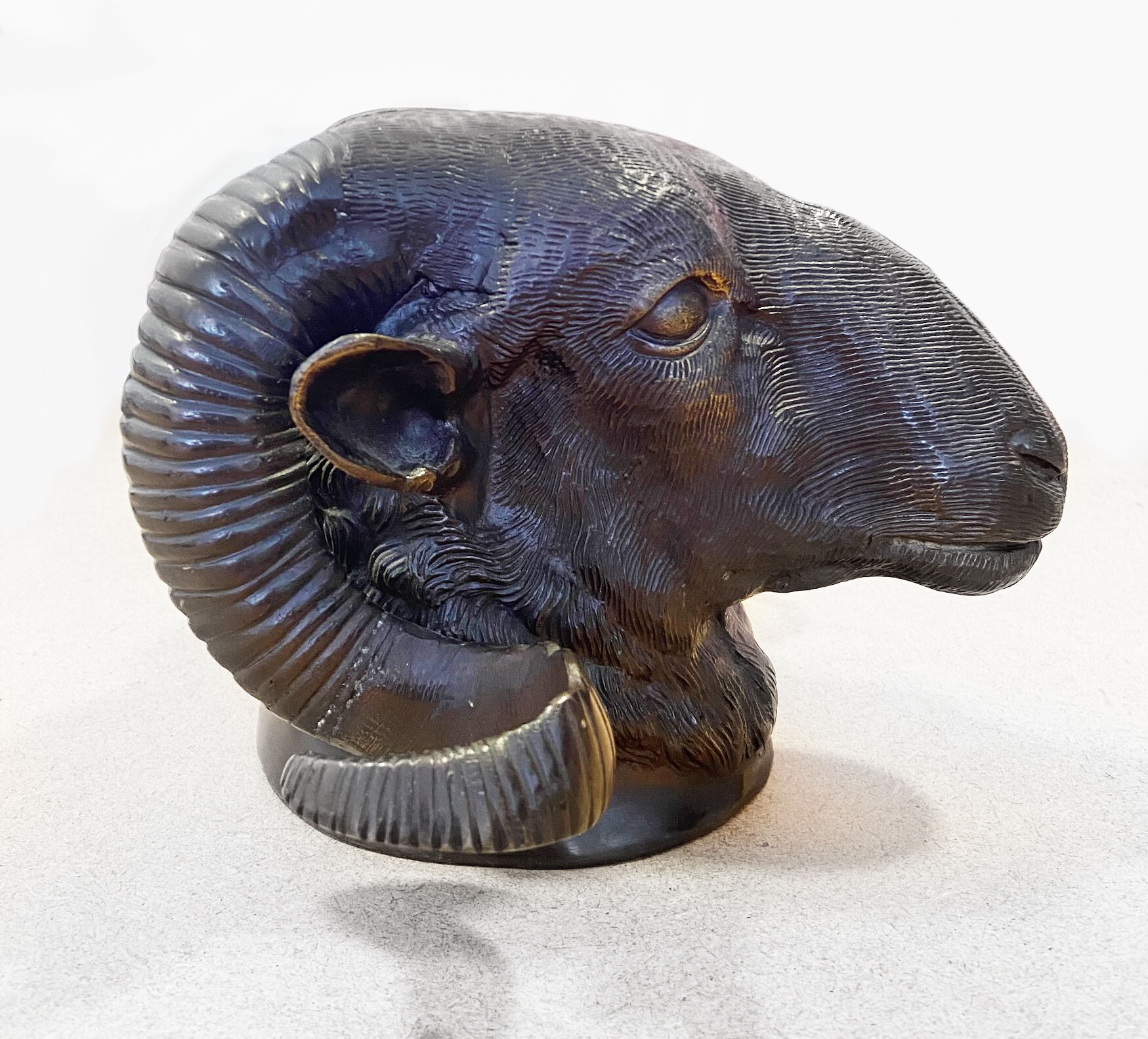 Bronze ram's head - 50s