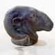 Bronze ram's head - 50s