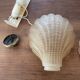 Pair of shell wall lights in frosted glass in Art Deco style.