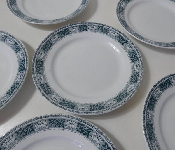Terre de fer 6 assiettes plates lotus