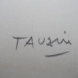 Drawing signed tauzin mario: regard chien au repos, black pencil original 1970s, charcoal