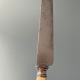 Box of 12 table knives XIXth Napoleon III