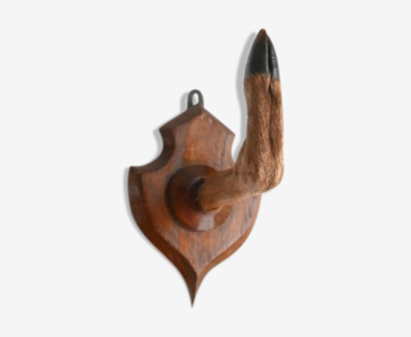 Patère patte de biche, années 60