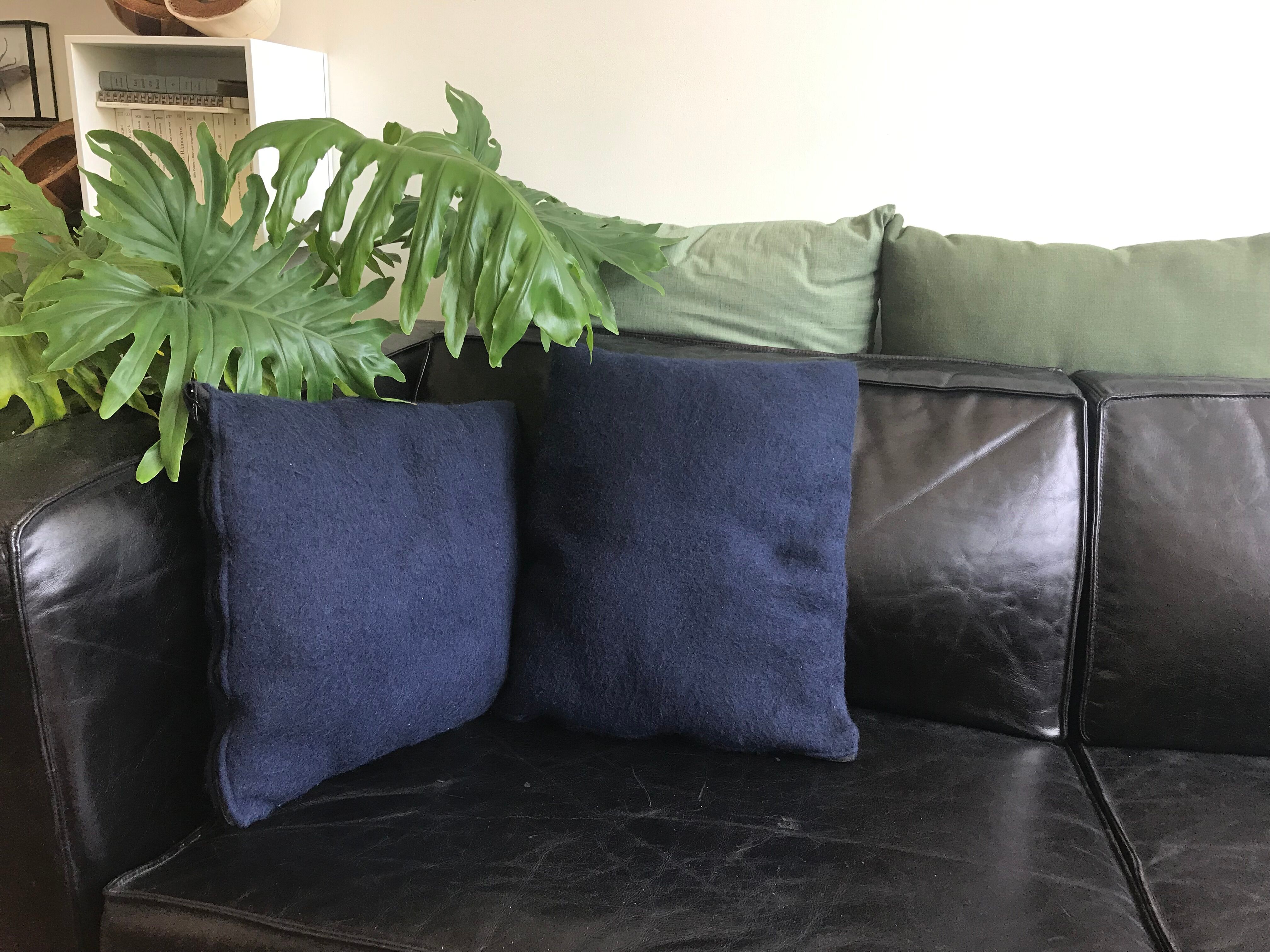 Pair of blue cushions