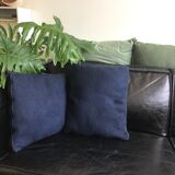 Pair of blue cushions