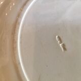 Ancient plate nests and birds