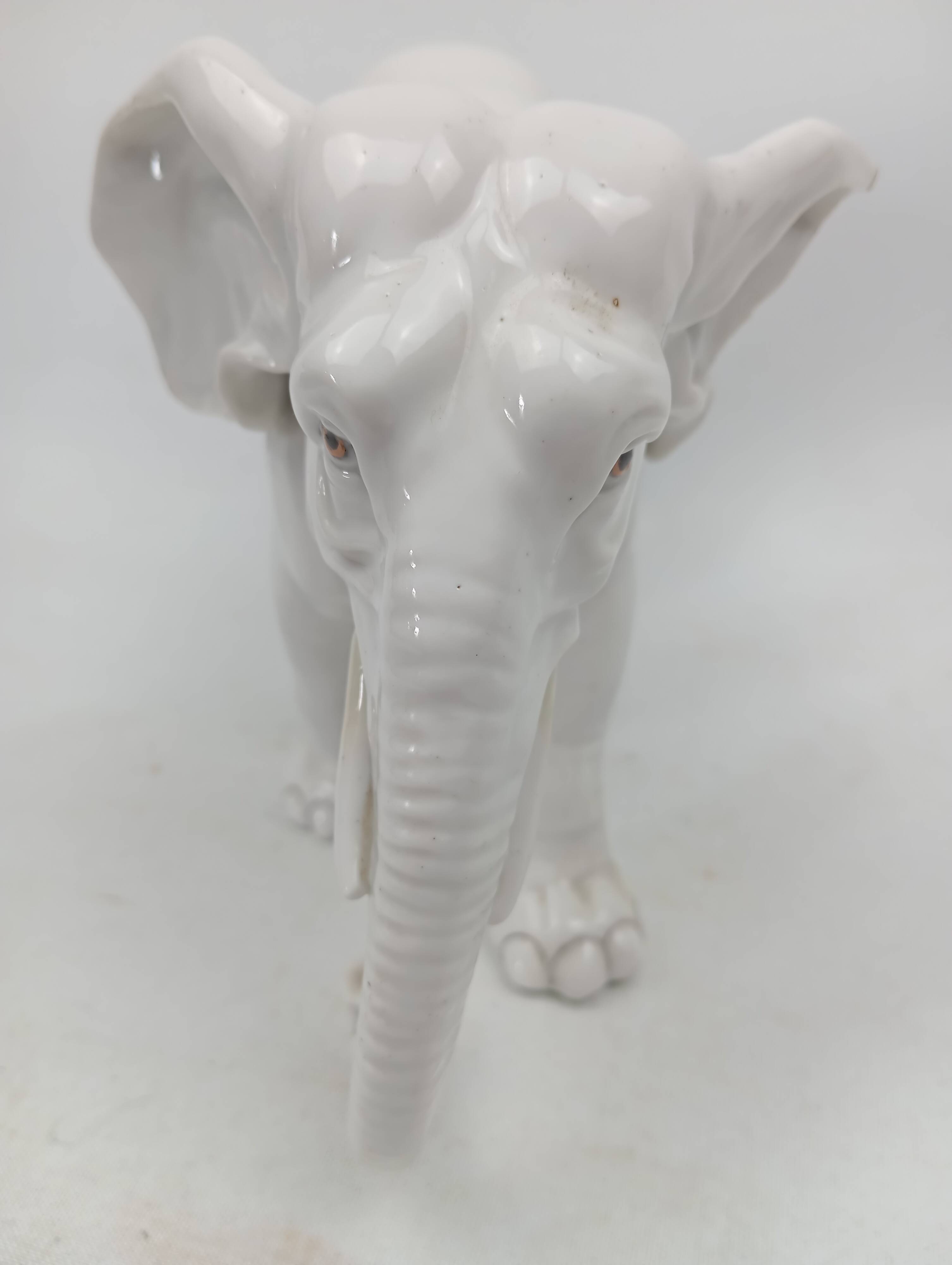 Capodimonte ceramic elephant 18-19th century (broken ears)