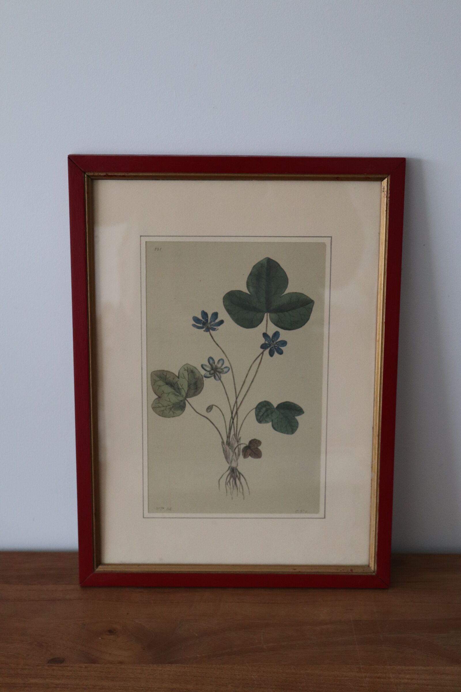 Vintage clover botanical frame
