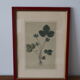 Vintage clover botanical frame