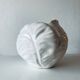 Ceramic cabbage plant pot