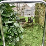 Vintage stepladder in Formica, wood and chromed metal