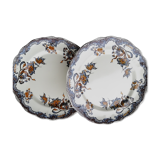 Pair of salins plates